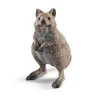 Schleich Quokka, 14823