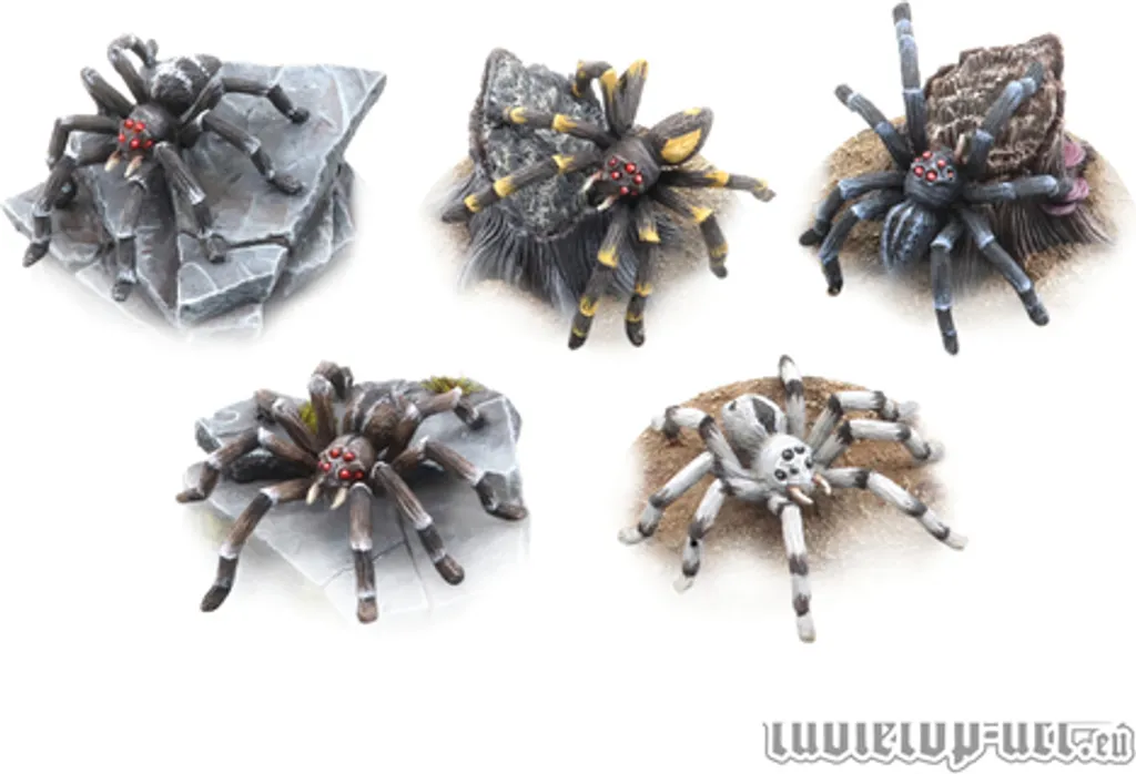 Riesenspinnen Set (5)
